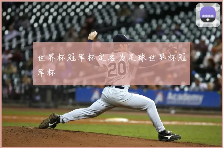 世界杯冠军杯定名为足球世界杯冠军杯