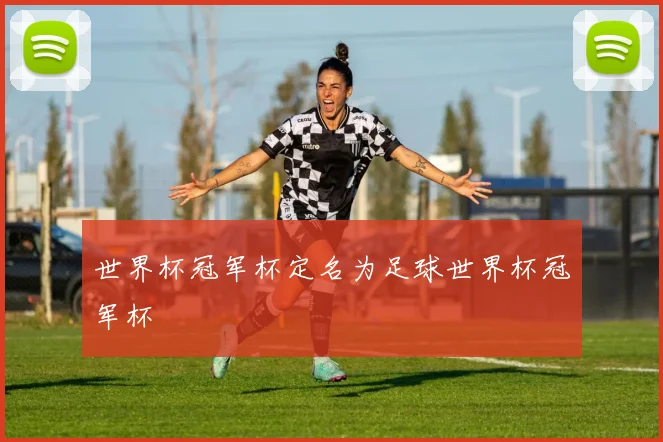 世界杯冠军杯定名为足球世界杯冠军杯