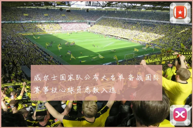 威尔士国家队公布大名单 备战国际赛事核心球员悉数入选