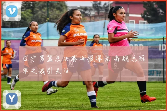 辽宁男篮总决赛海报曝光 备战总冠军之战引关注