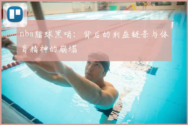 nba赌球黑哨:背后的利益链条与体育精神的崩塌