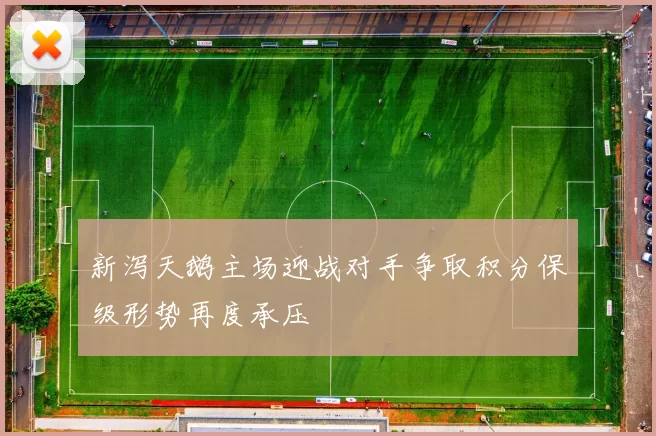 新泻天鹅主场迎战对手争取积分保级形势再度承压