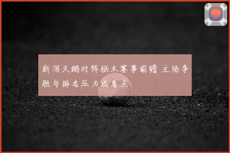 新泻天鹅对阵枥木赛事前瞻 主场争胜与排名压力成看点