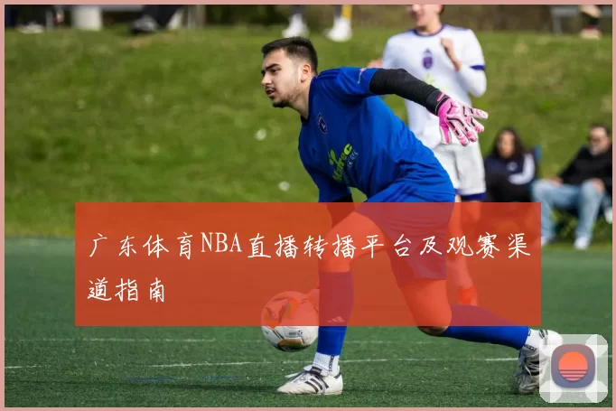广东体育NBA直播转播平台及观赛渠道指南