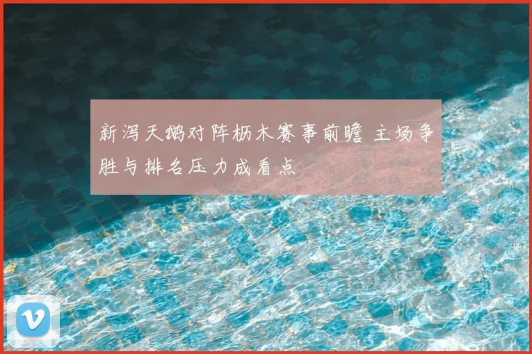 新泻天鹅对阵枥木赛事前瞻 主场争胜与排名压力成看点