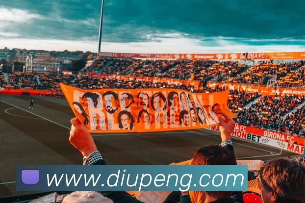 多媒体互动体验