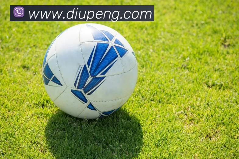 星空网网页版官方入口APP 高清赛事图